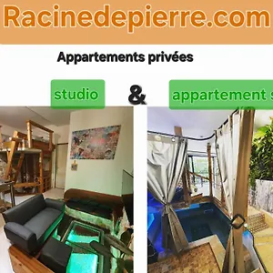Racine De Pierre Appartement Castres (Tarn)